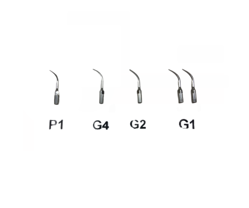 Stomadent Scaler Tip 5st