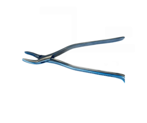 Tandtång Häst 25cm WWE