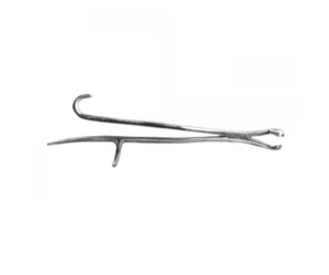 Tandtång Häst Reynold 43cm