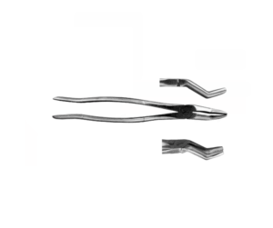 Tandtång vargtand  WWE