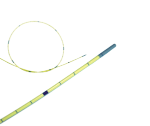 Hanhundskateter Porges