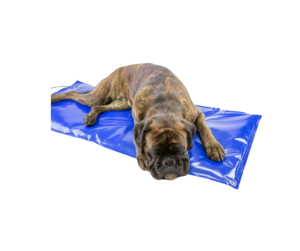 Värmematta Carbon Tech