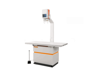 Amadeo V-DR nano II system