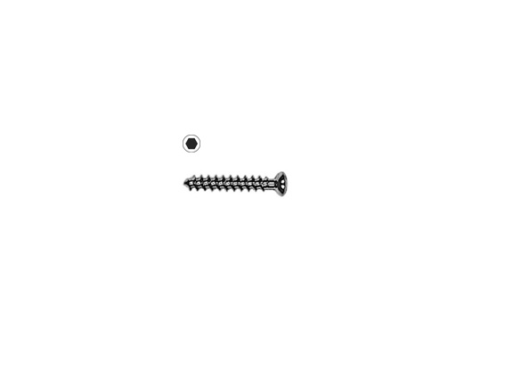 Cancellous Bone Screw