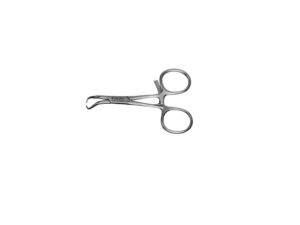 Benhållartång (Termit)