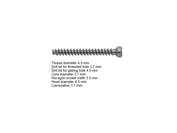 Cannulated Screw Ø 4,5 x 36mm
