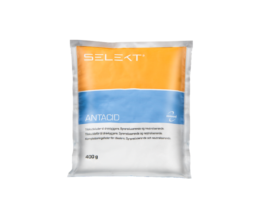 Selekt Antacid 400g