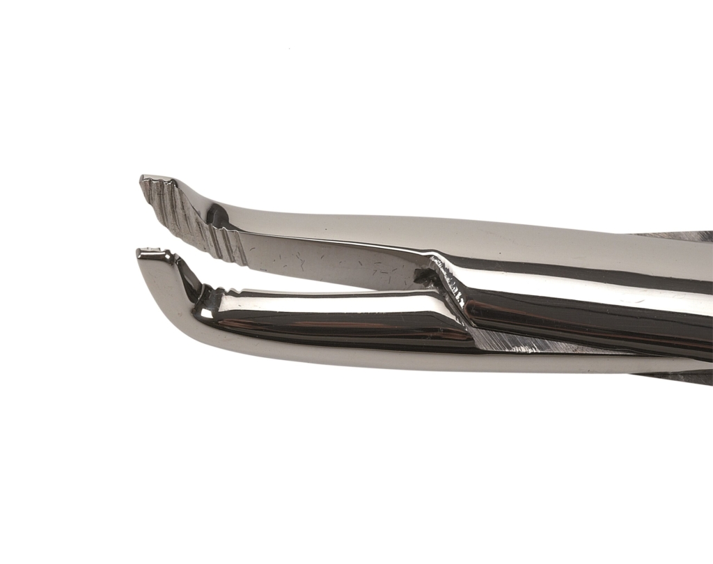 Molar Extractions tång Gnagare