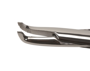 Molar Extractions tång Gnagare