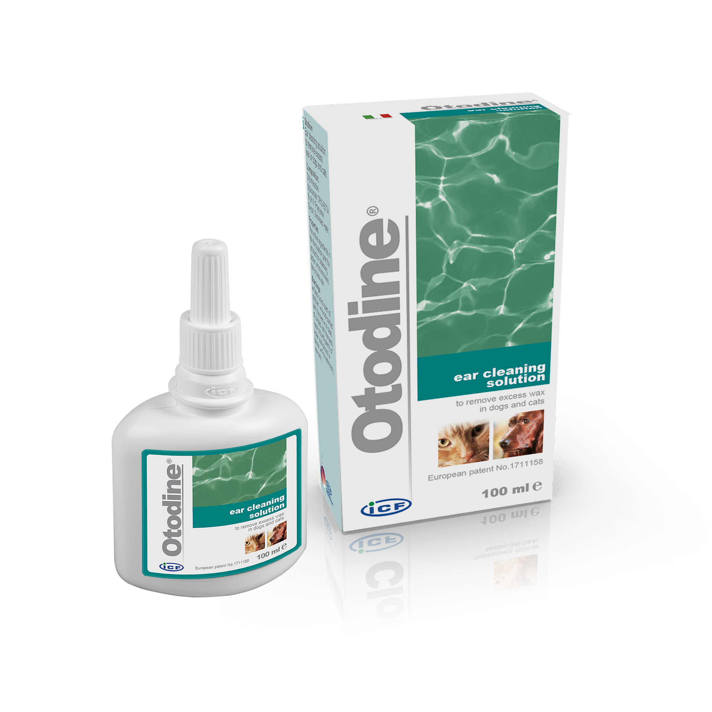 Otodine 100ml