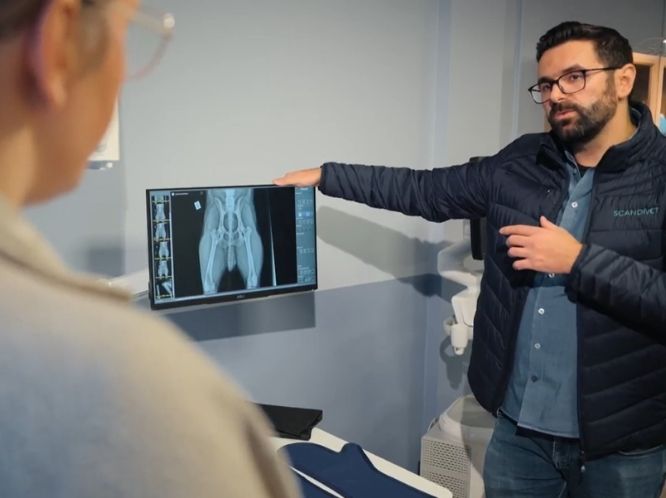 En pangstart för vårt nya showroom!