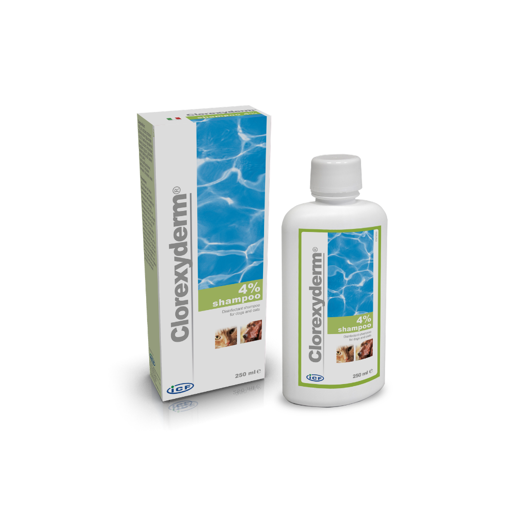 Clorexyderm Schampo