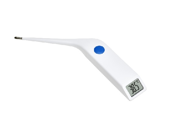 Digital termometer stordjur /st