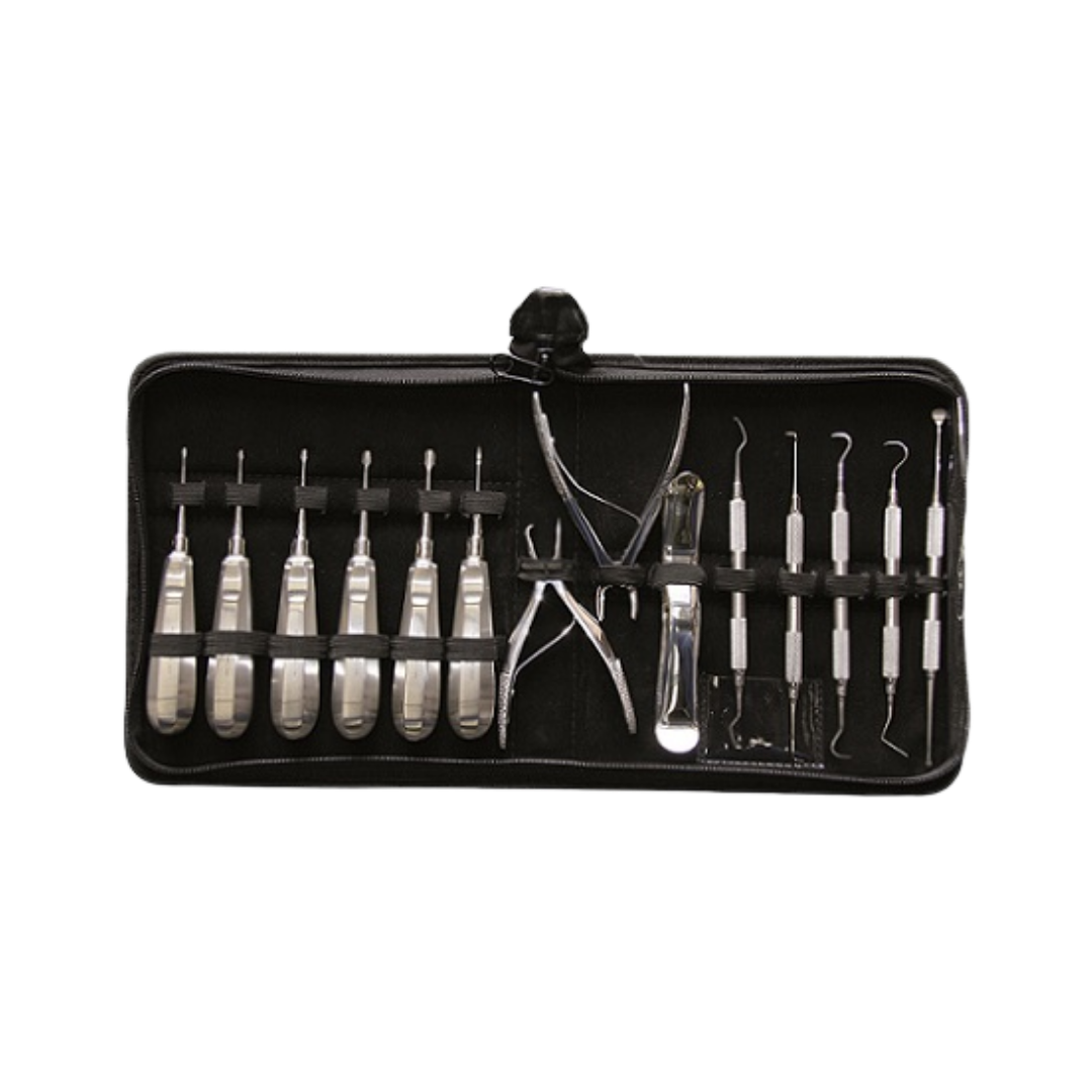 Dentala instrumentset