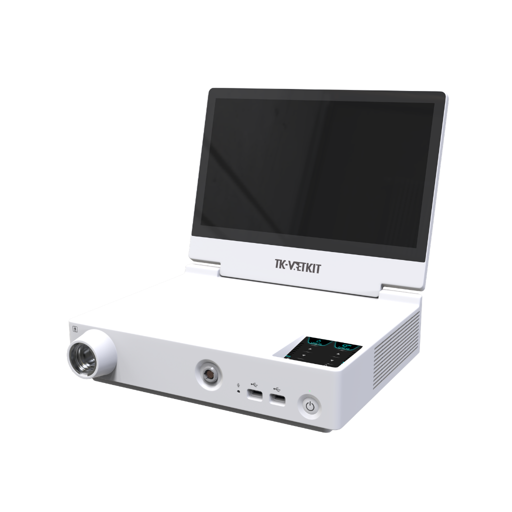 Videoprocessor HD 15.6"