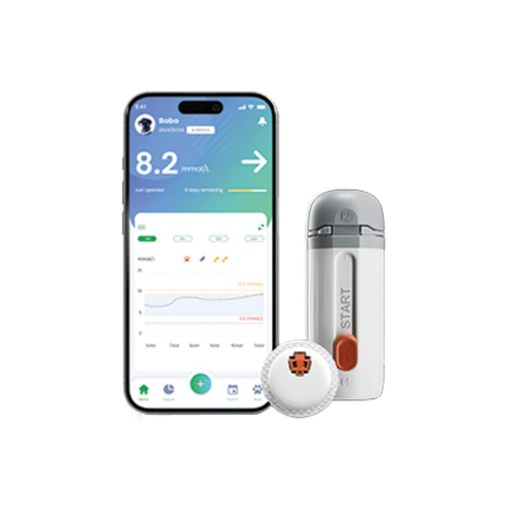 InSight Vet CGM