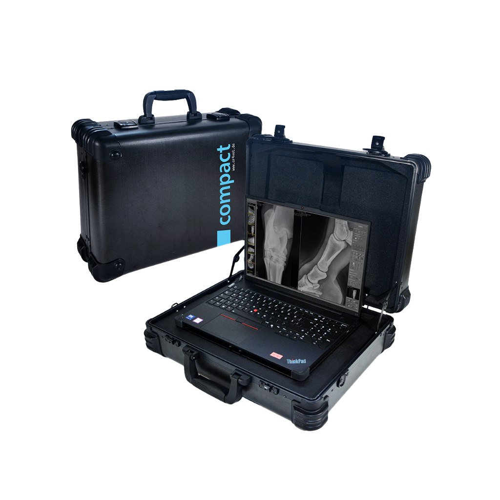 Leonardo DR compact III