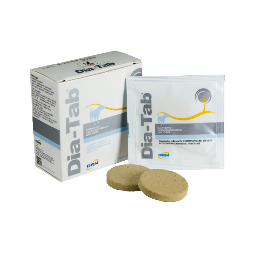 10180040-dia-tab-tabletter-scandivet