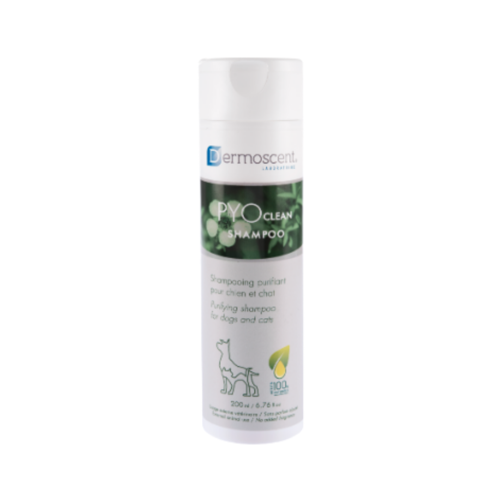 10180076-pyoclean-schampo-scandivet