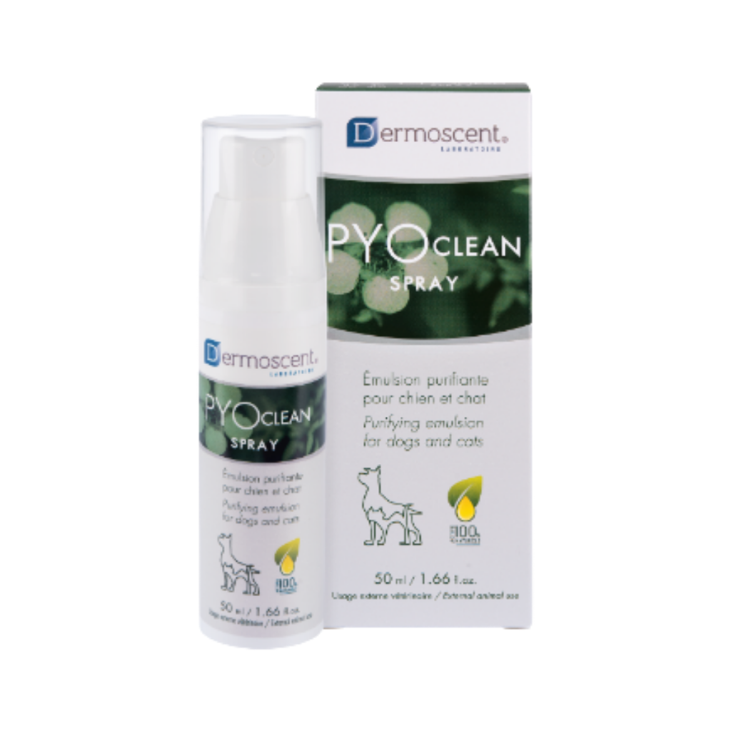 10180077-pyoclean-spray-scandivet