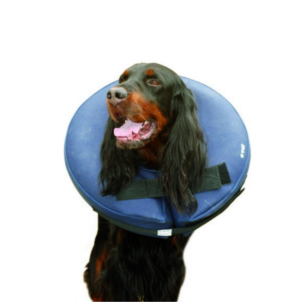 Hundkrage AirCollar