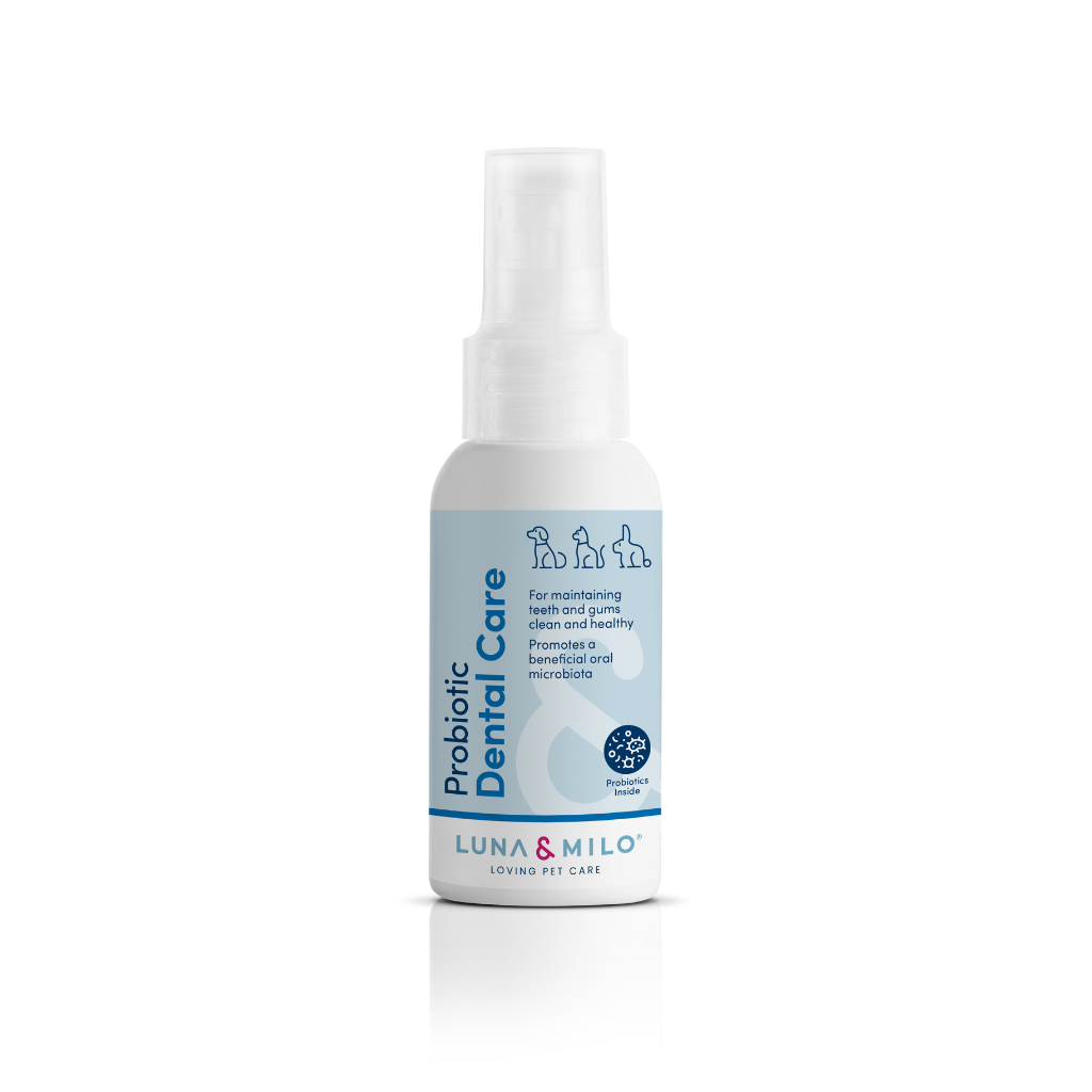 Probiotic Dental Care spray