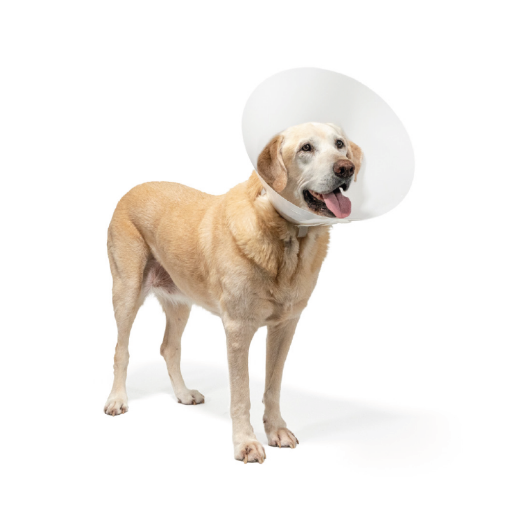 Hundkrage Bruno Classic /10st