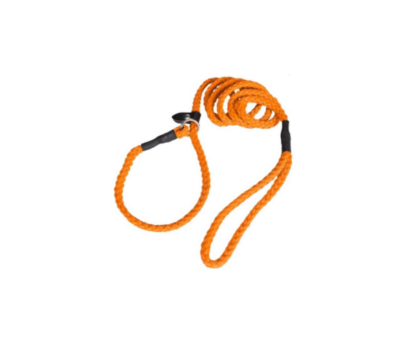 370290 retrieverkoppel blandade färger scandivet