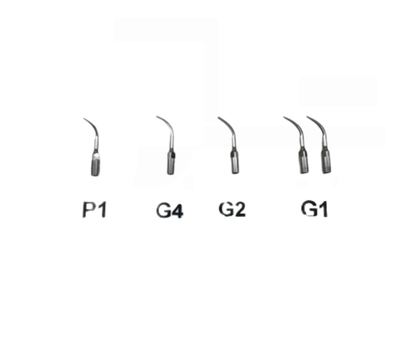 447595 stomadent scaler tip scandivet