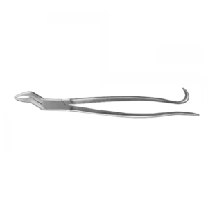 44801 tandtång häst 35cm scandivet