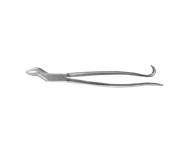 44801 tandtång häst 35cm scandivet