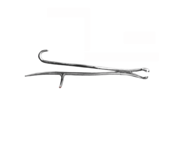 44805 tandtång häst 43cm reynold scandivet