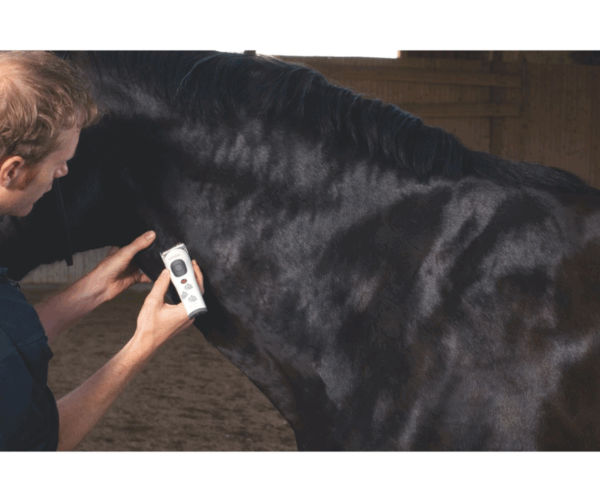 45495-klippmaskin-aesculap-vega-scandivet (4)