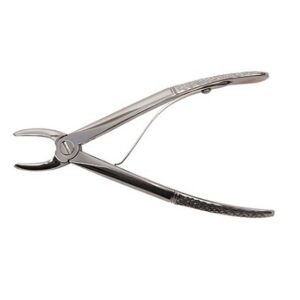 D1012 Extraction Forceps 12,5cm Scandivet