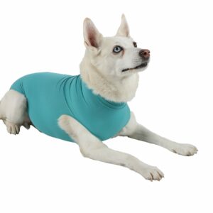 37542-a body hund tik scandivet