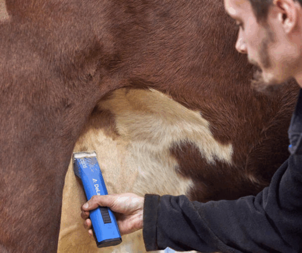 455333-klippmaskin-DeLaval-CB35-scandivet (1)