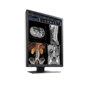 Diagnostikmonitor RadiForce RX250