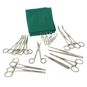 42135 kastrationset hund scandivet