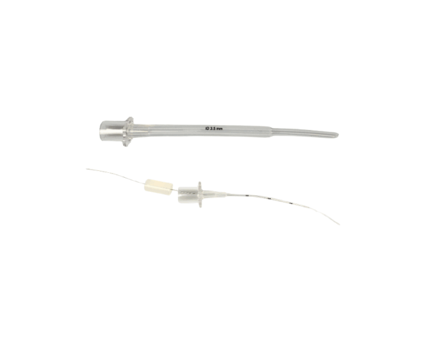 417600-a-endotrakealtub-exotic-fågel-scandivet