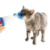 Inhalator AnimHal Katt - Bild 2