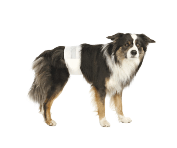 23641-blöjor-handhund-trixie-scandivet (1)