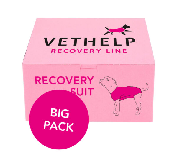 37598-Big-PACK-Recovery-suit-34-st.jpg