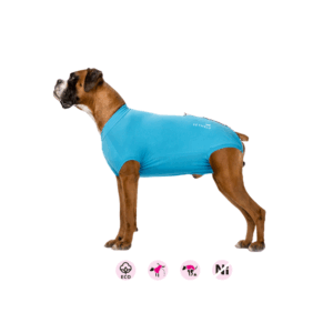 vethelp-body-hane-scandivet