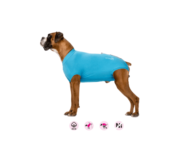vethelp-body-hane-scandivet