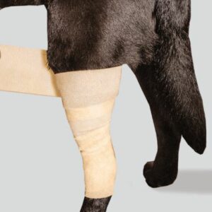 Kylbandage
