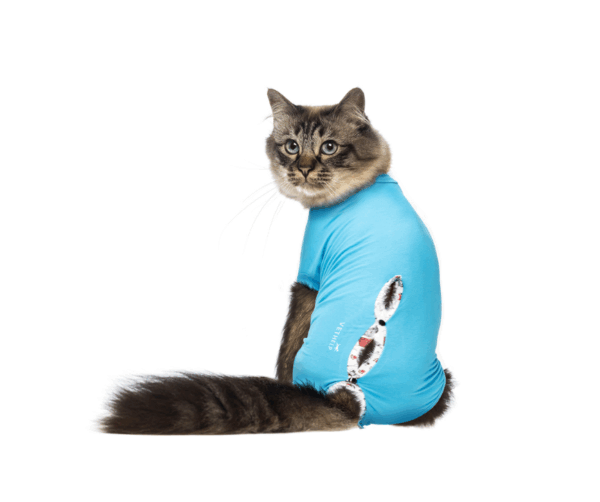 vethelp-body-katt-kanin-scandivet