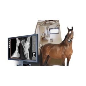Medici DR/CR system stordjur
