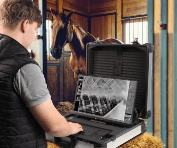 Leonardo DR mini III-scandivet (1)