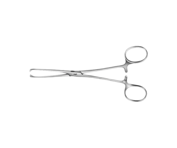 EA016R-haktång-allis-15,5cm-scandivet