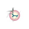 48164-target-instrument-lehmann-scandivet (1)